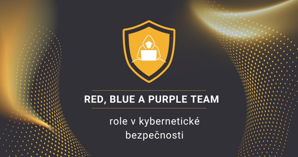 Role v kybernetické bezpečnosti